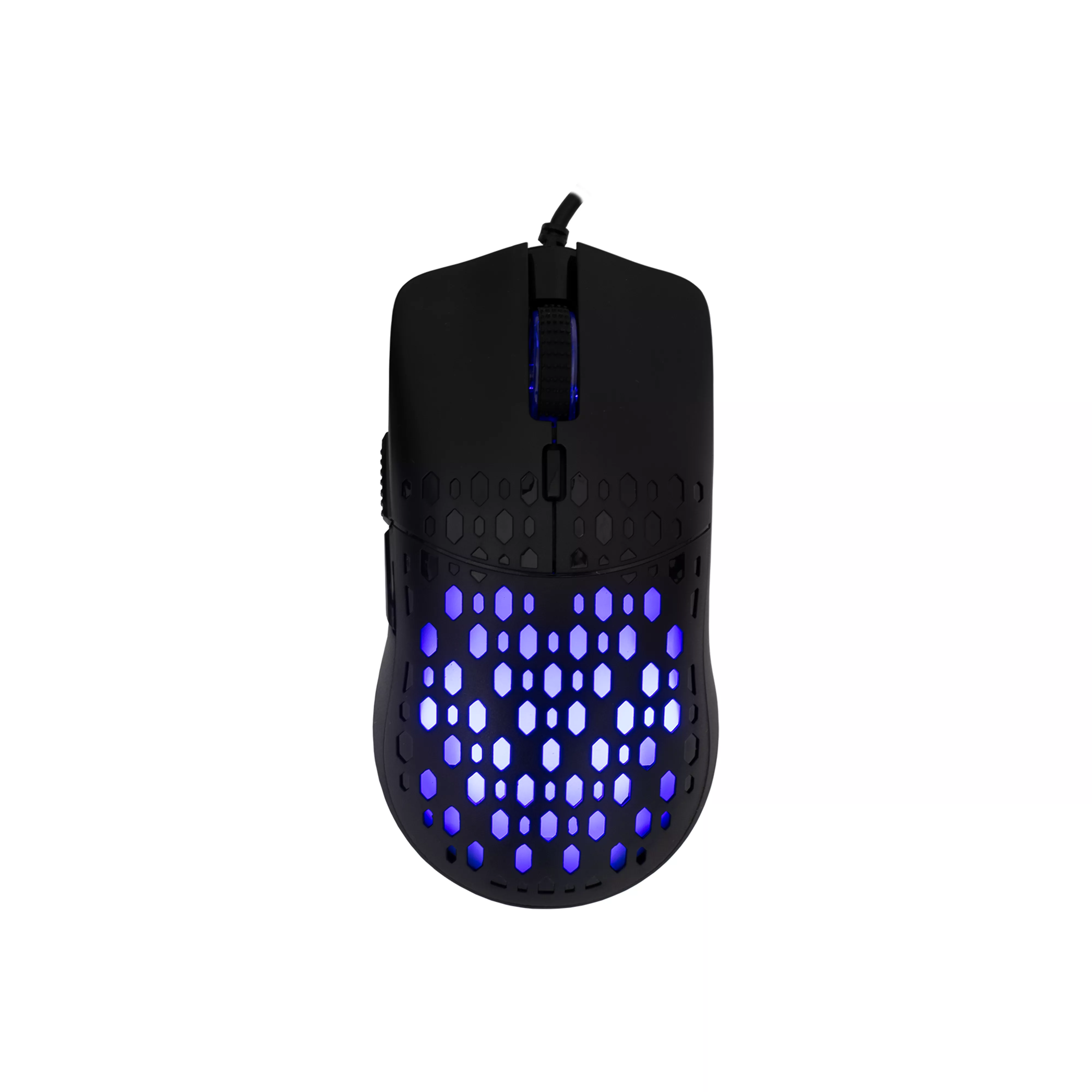 Baracuda Octopus Black