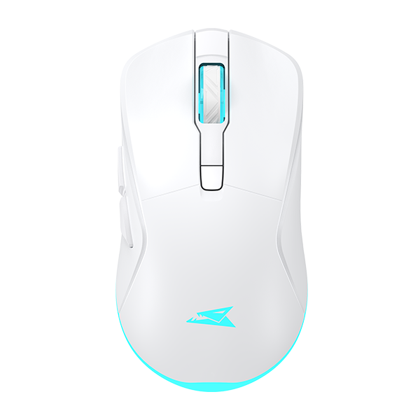 Baracuda Turtle 6d 3200 Dpi White