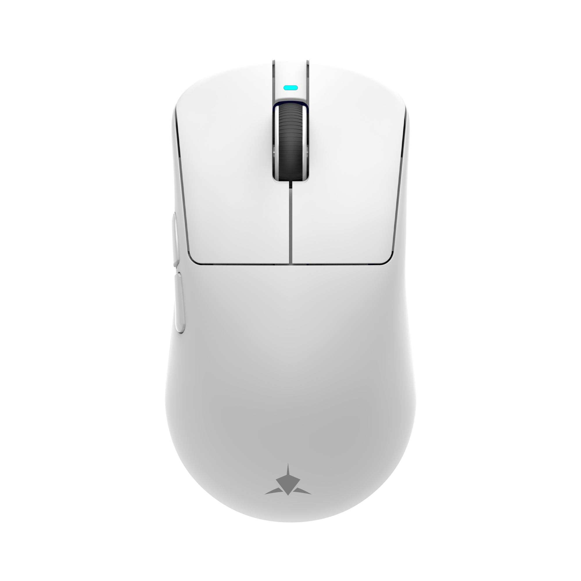 Whiteshark Bors 12000 Dpi 5 Boutons Blanc