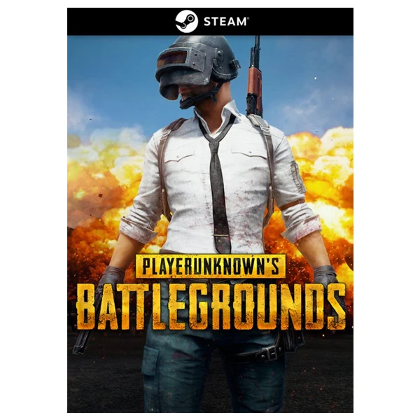 PLAYERUNKNOWN'S BATTLEGROUNDS Steam | MEGA PC